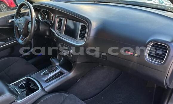 Buy Used Dodge Charger Blue Car in N'Djamena in Chari-Baguirmi Buy Used Dodge Charger Blue Car in N'Djamena in Chari-Baguirmi