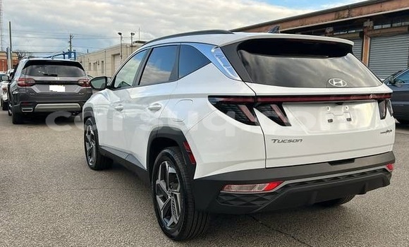 Acheter Occasion Voiture Hyundai Tucson Blanc à N'Djamena, Chari-Baguirmi Acheter Occasion Voiture Hyundai Tucson Blanc à N'Djamena, Chari-Baguirmi