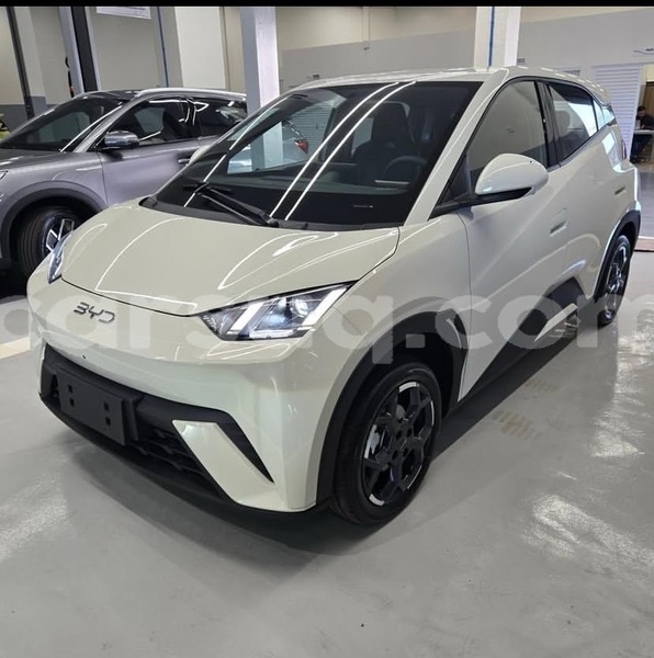 Big with watermark byd seagull chari baguirmi n djamena 4320