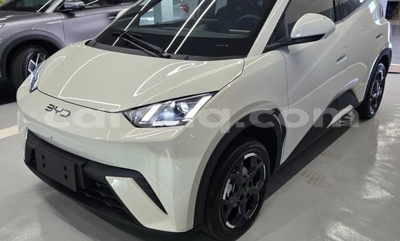 Acheter Occasion Voiture BYD Seagull Blanc à N'Djamena, Chari-Baguirmi