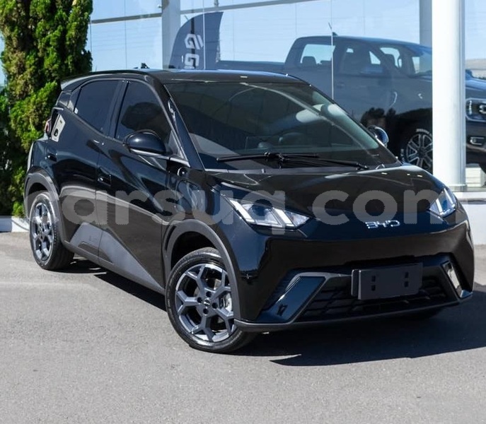 Big with watermark byd seagull chari baguirmi n djamena 4320