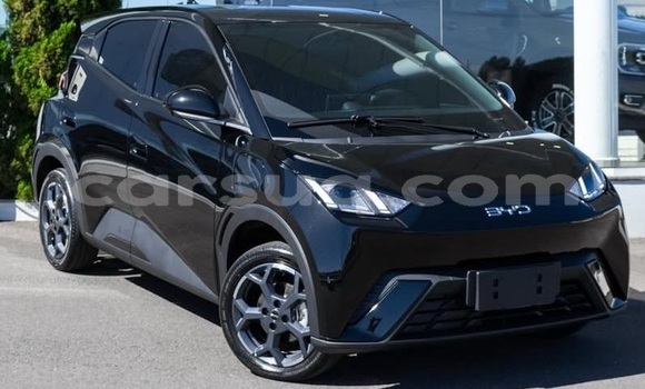 Acheter Occasion Voiture BYD Seagull Blanc à N'Djamena, Chari-Baguirmi Acheter Occasion Voiture BYD Seagull Blanc à N'Djamena, Chari-Baguirmi