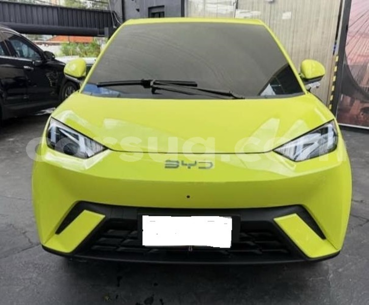 Big with watermark byd seagull chari baguirmi n djamena 4320