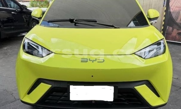 Acheter Occasion Voiture BYD Seagull Blanc à N'Djamena, Chari-Baguirmi Acheter Occasion Voiture BYD Seagull Blanc à N'Djamena, Chari-Baguirmi