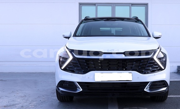 Acheter Occasion Voiture Kia Sportage Blanc à N'Djamena, Chari-Baguirmi Acheter Occasion Voiture Kia Sportage Blanc à N'Djamena, Chari-Baguirmi