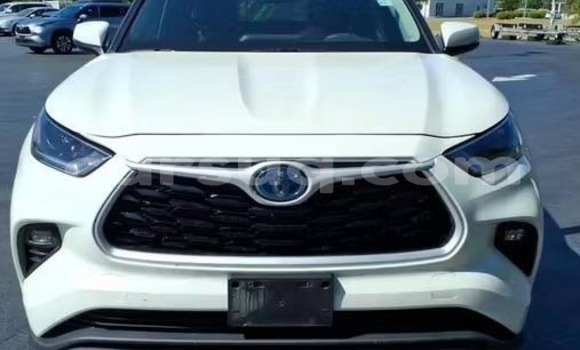 Buy Used Toyota Highlander White Car in N'Djamena in Chari-Baguirmi