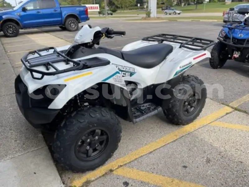 Big with watermark kawasaki brute force salamat abou deia 4383
