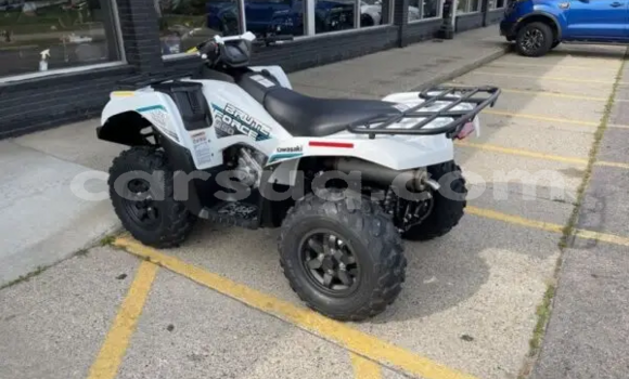 Buy New Kawasaki Brute Force White Bike in Abou Deia in Salamat Buy New Kawasaki Brute Force White Bike in Abou Deia in Salamat