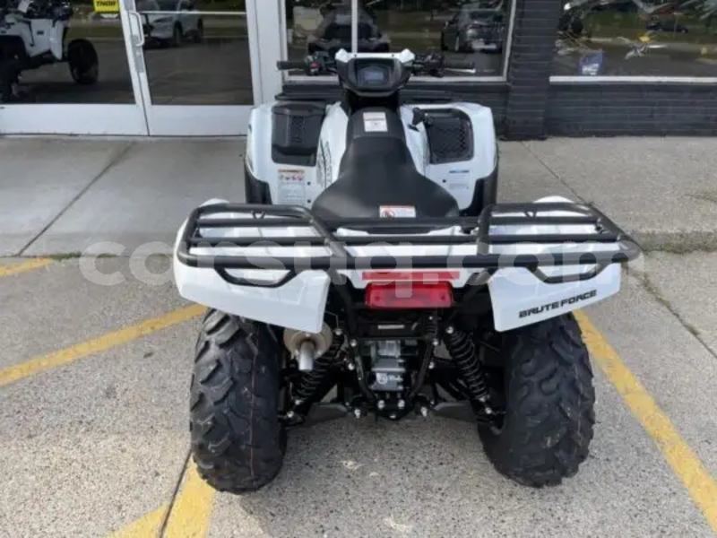 Big with watermark kawasaki brute force salamat abou deia 4383