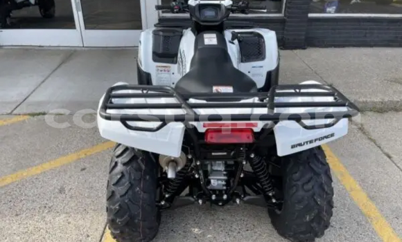 Buy New Kawasaki Brute Force White Bike in Abou Deia in Salamat Buy New Kawasaki Brute Force White Bike in Abou Deia in Salamat