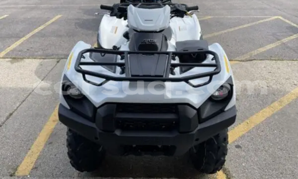 Buy New Kawasaki Brute Force White Bike in Abou Deia in Salamat Buy New Kawasaki Brute Force White Bike in Abou Deia in Salamat