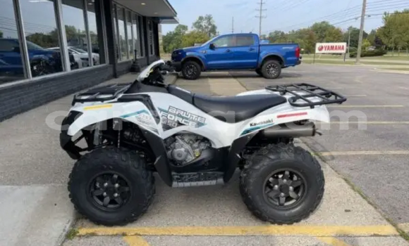 Buy New Kawasaki Brute Force White Bike in Abou Deia in Salamat Buy New Kawasaki Brute Force White Bike in Abou Deia in Salamat