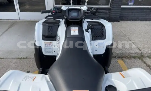 Buy New Kawasaki Brute Force White Bike in Abou Deia in Salamat Buy New Kawasaki Brute Force White Bike in Abou Deia in Salamat