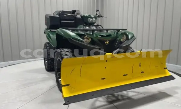 Buy New Yamaha Grizzly Green Bike in Am Djarass in Ennedi-East Buy New Yamaha Grizzly Green Bike in Am Djarass in Ennedi-East