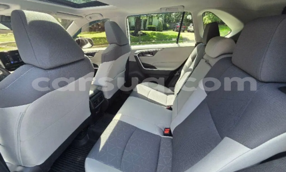 Buy Used Toyota RAV4 White Car in Bokoro in Chari-Baguirmi Buy Used Toyota RAV4 White Car in Bokoro in Chari-Baguirmi