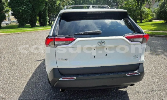 Buy Used Toyota RAV4 White Car in Bokoro in Chari-Baguirmi Buy Used Toyota RAV4 White Car in Bokoro in Chari-Baguirmi