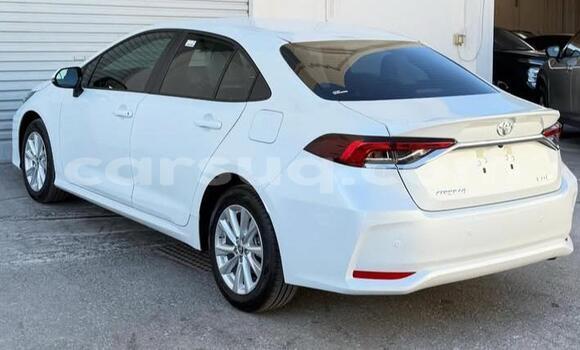 Buy Used Toyota Corolla White Car in N'Djamena in Chari-Baguirmi Buy Used Toyota Corolla White Car in N'Djamena in Chari-Baguirmi
