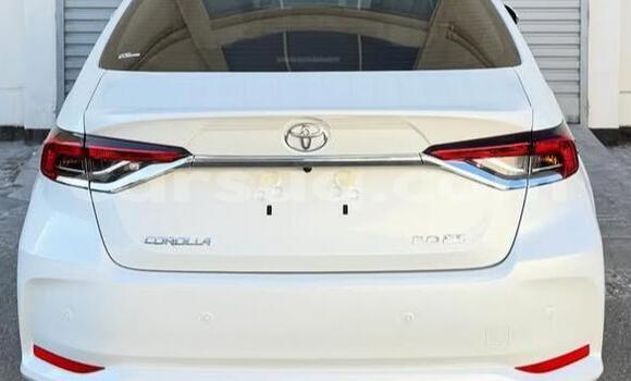 Buy Used Toyota Corolla White Car in N'Djamena in Chari-Baguirmi Buy Used Toyota Corolla White Car in N'Djamena in Chari-Baguirmi