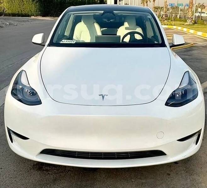 Big with watermark tesla model x chari baguirmi n djamena 4402