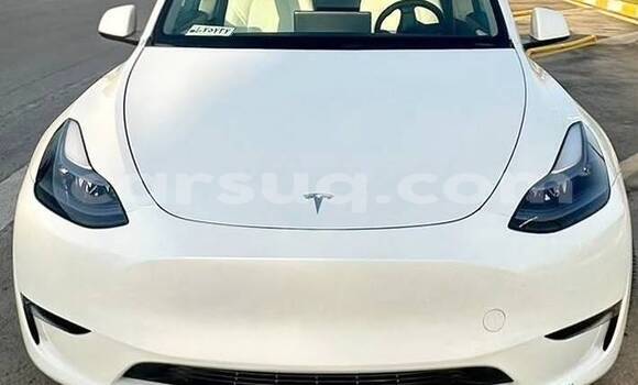 Acheter Occasion Voiture Tesla Model X Blanc à N'Djamena, Chari-Baguirmi
