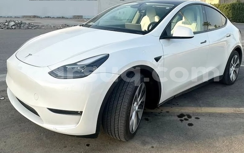 Big with watermark tesla model x chari baguirmi n djamena 4402