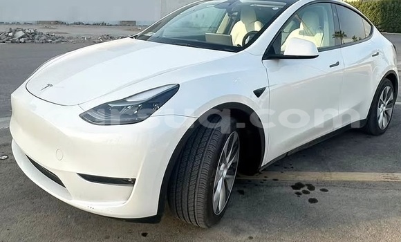 Buy Used Tesla Model X White Car in N'Djamena in Chari-Baguirmi Buy Used Tesla Model X White Car in N'Djamena in Chari-Baguirmi
