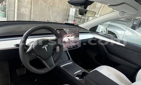 Buy Used Tesla Model X White Car in N'Djamena in Chari-Baguirmi Buy Used Tesla Model X White Car in N'Djamena in Chari-Baguirmi