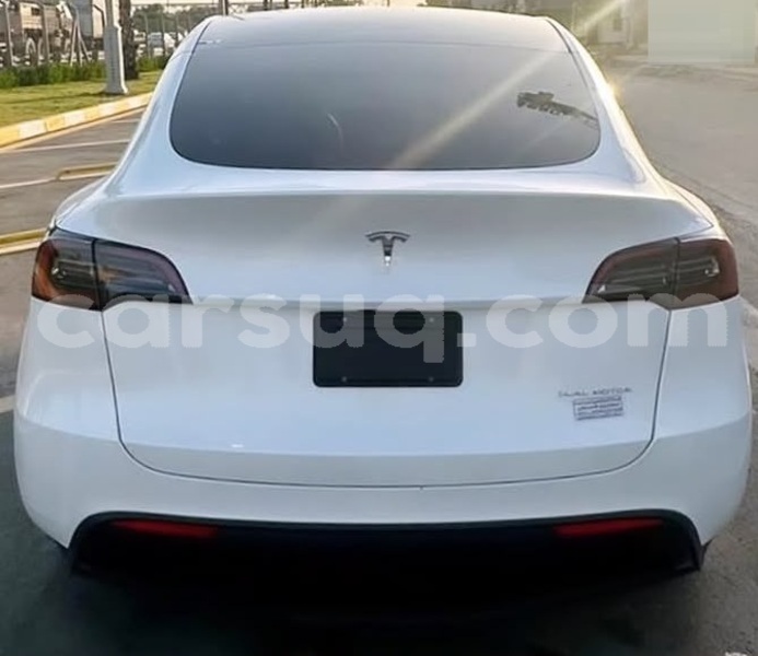 Big with watermark tesla model x chari baguirmi n djamena 4402