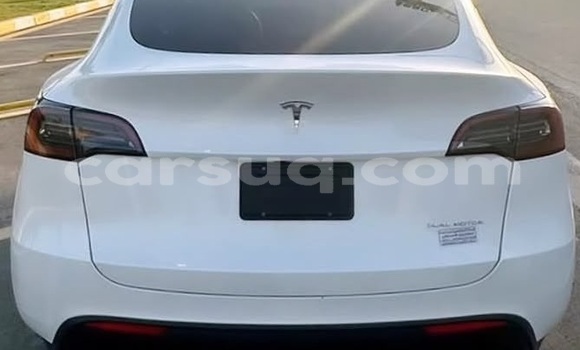 Buy Used Tesla Model X White Car in N'Djamena in Chari-Baguirmi Buy Used Tesla Model X White Car in N'Djamena in Chari-Baguirmi