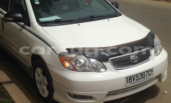 Acheter Neuf Voiture Toyota Corolla Blanc à N'Djamena au Tchad Acheter Neuf Voiture Toyota Corolla Blanc à N'Djamena au Tchad