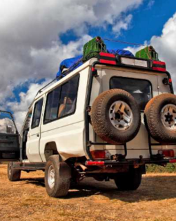 Thumb screenshot 2026 01 17 221727