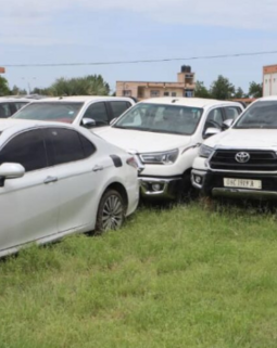 Thumb screenshot 2026 03 17 110943